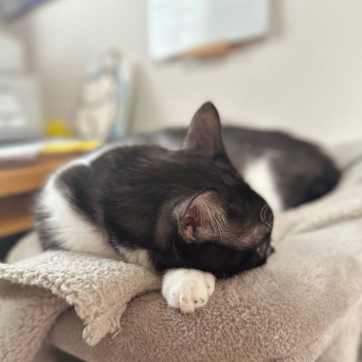 32b3d22e 8918 461b bae6 1e2c1d64bdbe 1770266218561