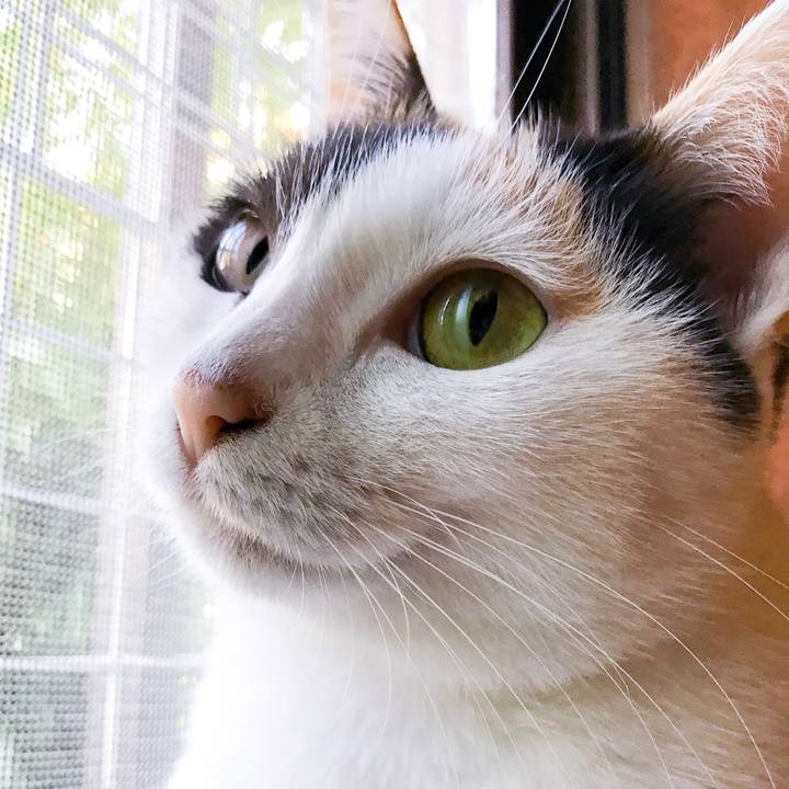 32b3df17 b230 45d5 a66d 208851f0b147 1509459209459