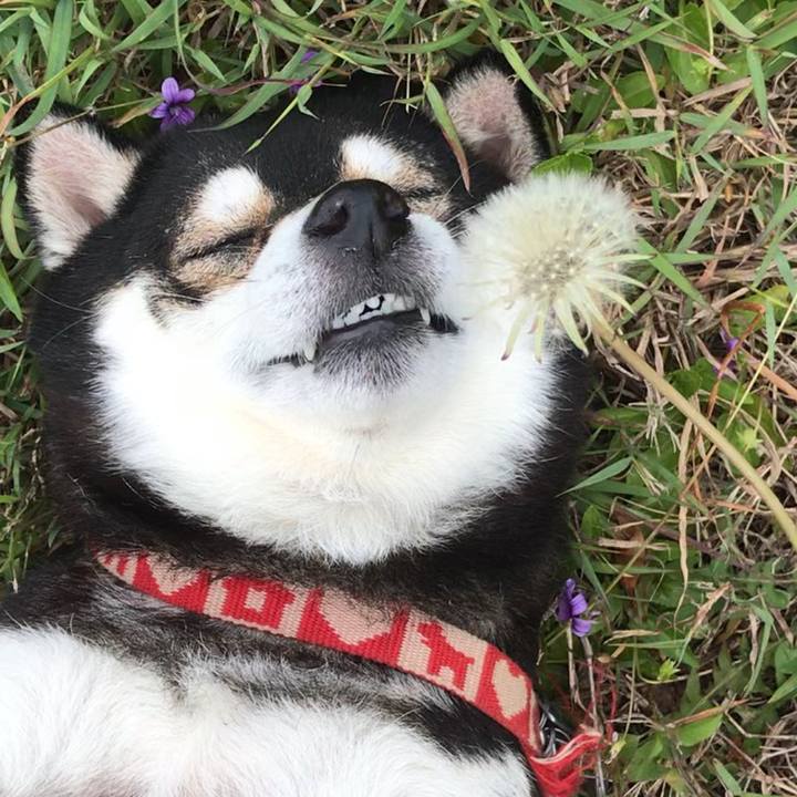 32b3ee29 b271 498c 9199 5366ddce96da 1614218635536