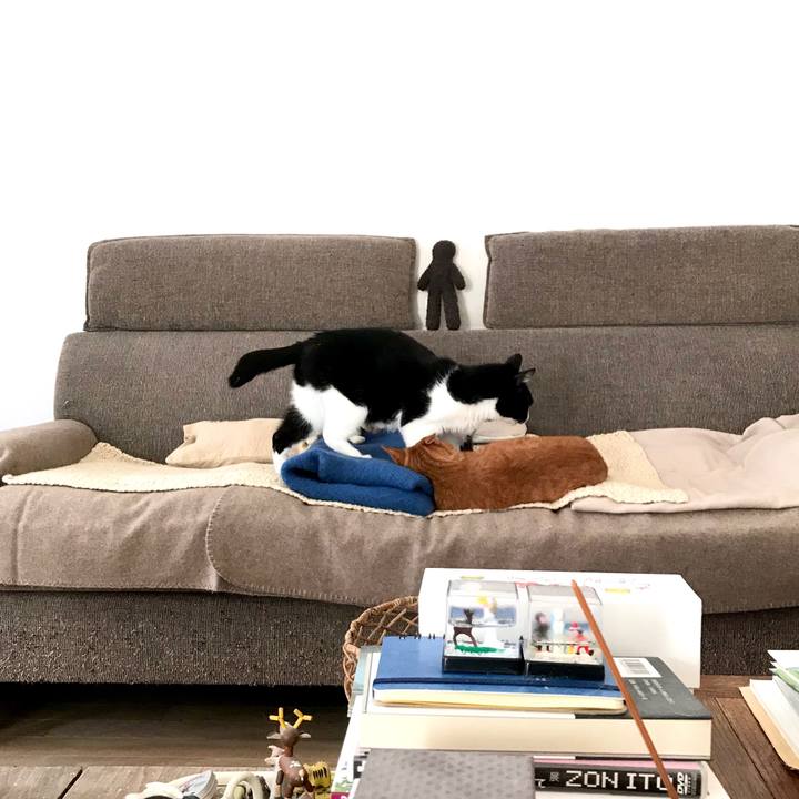 32b3f14c 5474 4849 bf34 a8112f6e8b3d 1577168742610