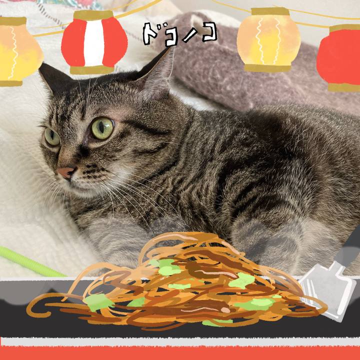 32b402c3 090b 4e85 a44c 7978179b582b 1755157992663