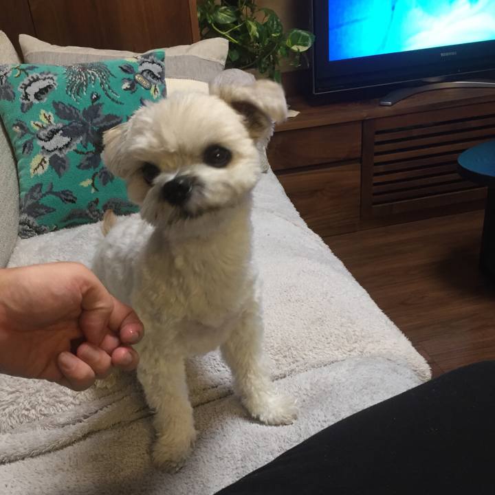 32b46289 bc98 4928 ba40 31959c99e4a0 1509192114877