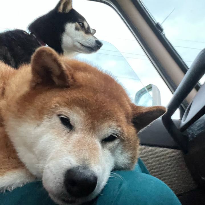 32b4a618 4517 448a a71e f7a732a811ef 1656235010154