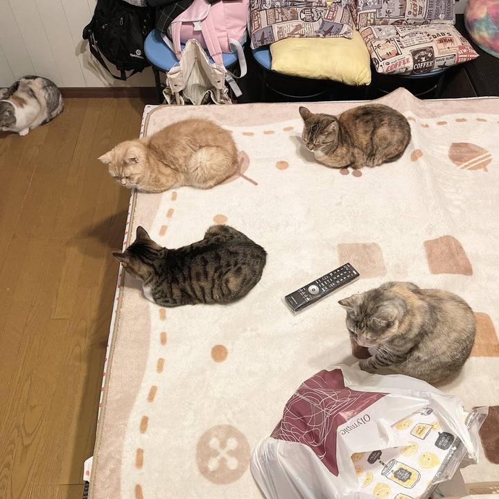 32b4d15b 7b04 4515 849f cf4896b1de90 1580521110517