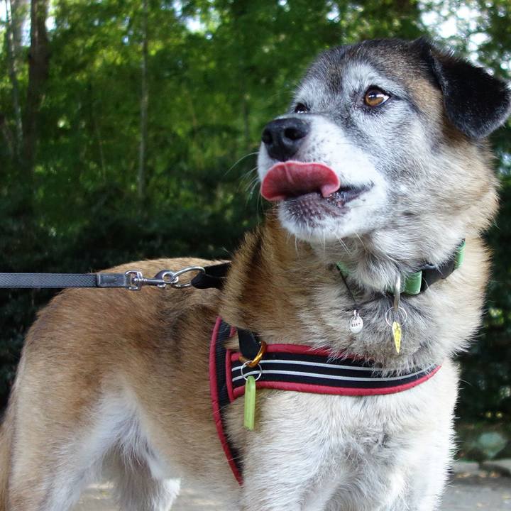 32b515cd 4ca2 4ce6 b9e4 d5a9a9509441 1680570793488