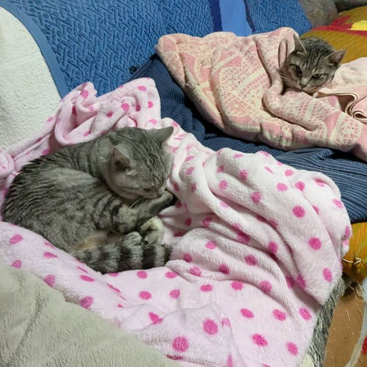 32b51603 2475 4956 966a 3652ad73fe81 1741365100966