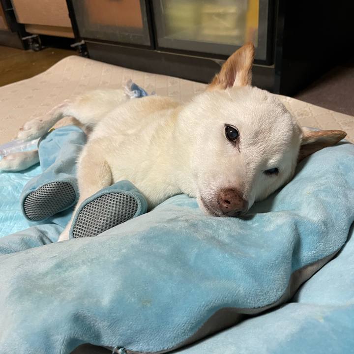 32b52096 aea0 4cf1 a600 a54c7f881bb2 1662031734816