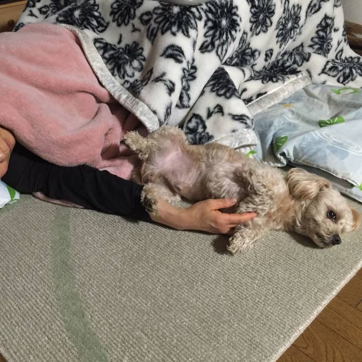 32b54e19 fbb1 4ba1 9ebe b5bbe9515dcd 1554478850077