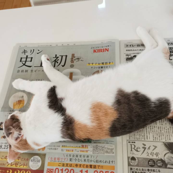 32b57266 0d4b 4fb4 89d6 2619144b250d 1623399388578