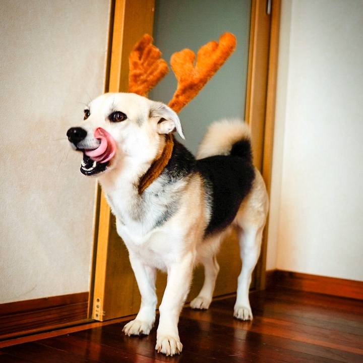 32b58ca7 7f85 4ffb b656 1e619a9c753f 1545710473976