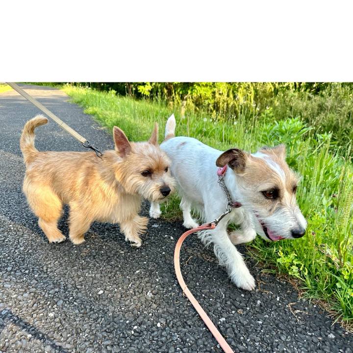 32b5cf95 6fb4 4f9e 973b f3a58dde693c 1714838091375