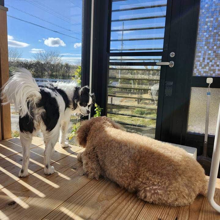 32b5df2b b3af 4c49 a00e 1e80f38a4df8 1766205449283