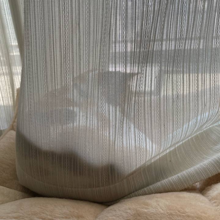 32b5f7da c25b 4d3a 88ac 78aa174e61b9 1728788998934