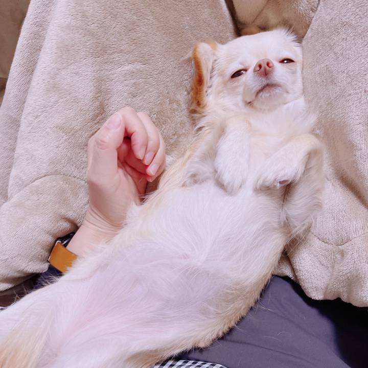 32b61b38 15e8 4993 916f 1a737cd2da66 1677323450303