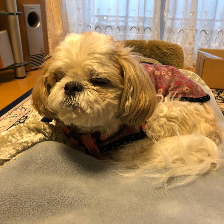 32b65173 aeff 44f1 9e05 2d8b1f3eb0be 1542404597599