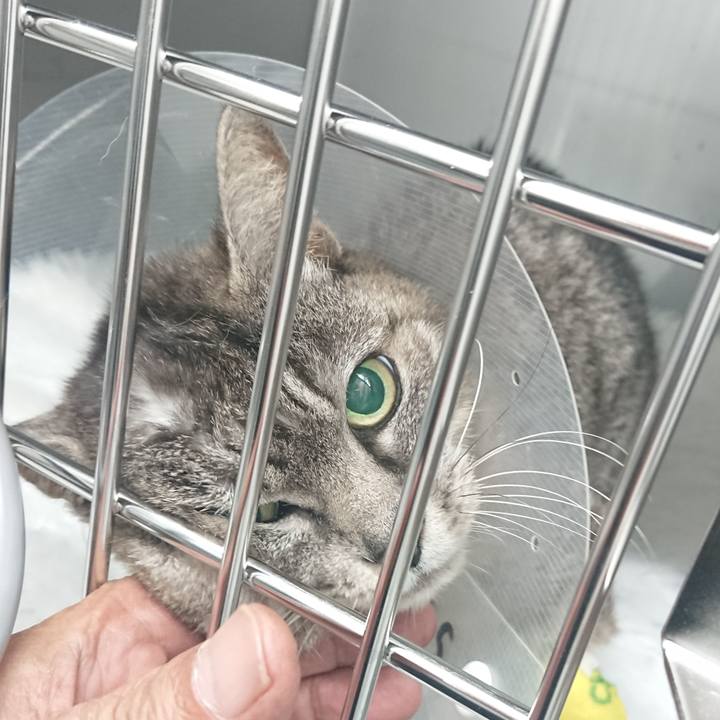 32b65283 de2d 42bc ad32 8ad12aa236ce 1585797413506