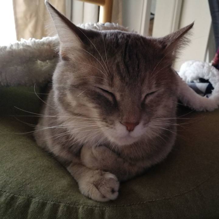 32b6559a 9f67 452c a20c 90d5f9b0c7c7 1542410522060