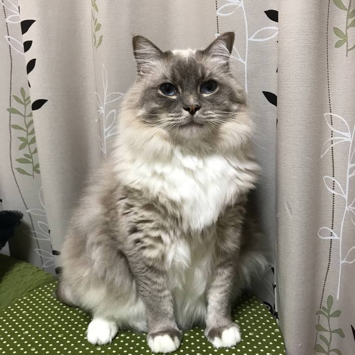 32b6758b 76a7 4b90 b9e9 262f2c3b9b29 1509800035944