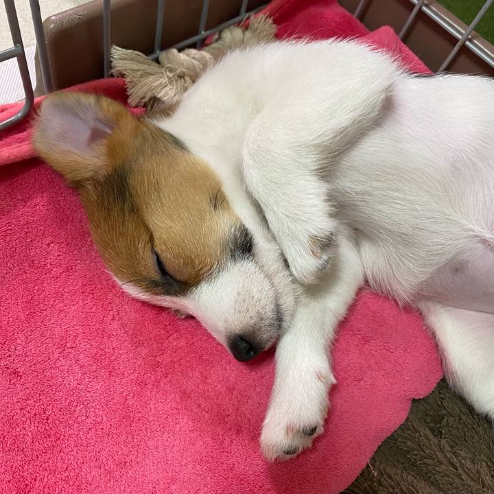 32b67d9d 5ecf 413f b84c 75e72abcefa6 1610839909191