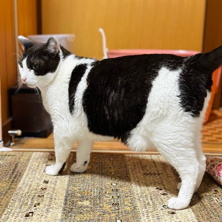 32b6803a 20cd 4ed7 beaa 44b12a4dea1d 1685930324890