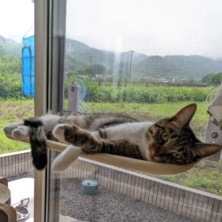 32b6bcc8 e9cd 46a5 b357 613bb0298ae8 1686699292556