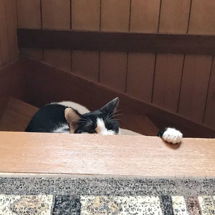 32b6d13c 5d31 4a72 a41a 639ca35c90ce 1538275738506