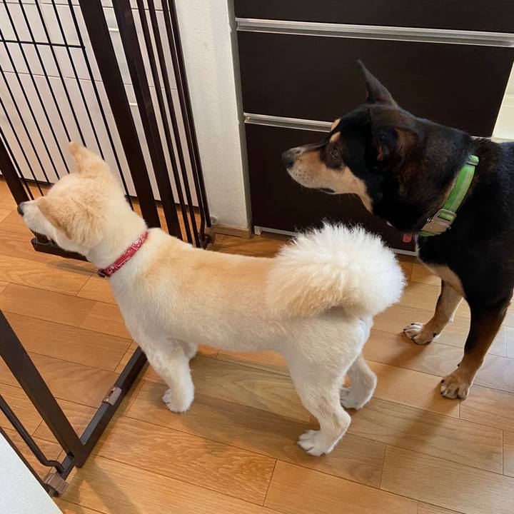 32b6d257 0b5d 47ea 9db0 c8331841bc1f 1686551030609