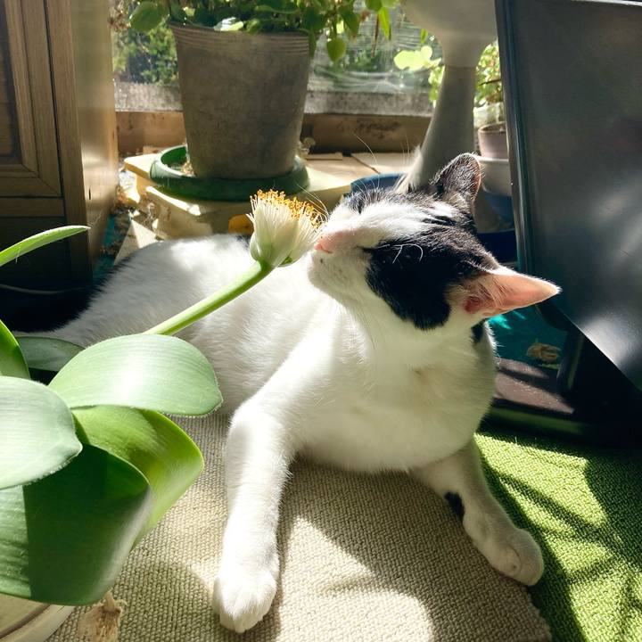 32b6e330 3ff9 4fb8 877f dd825acde021 1665477358417