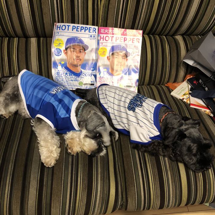 32b6f79f 0637 4210 9676 a4bb7ea5d237 1530617619661