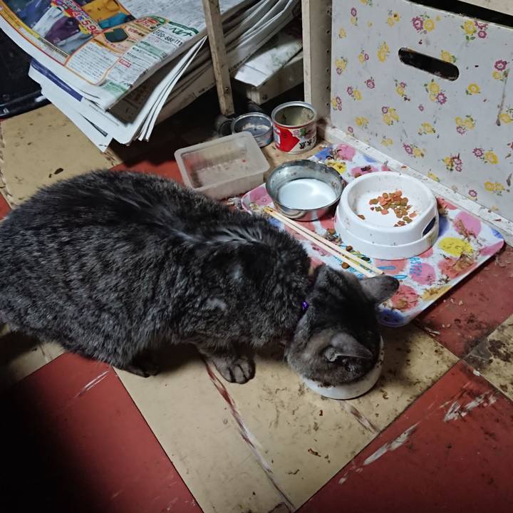 32b72f6a 8955 468c 97d2 53fcd354aa8f 1582795522007