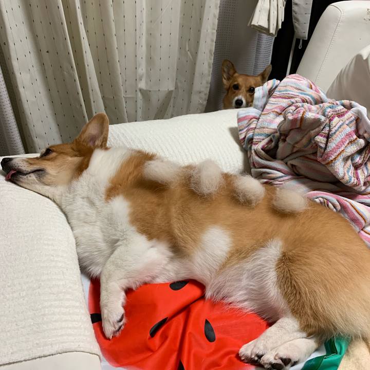 32b748c2 ad8d 4ecc 857b 2d8fd6f9a44d 1569237209618