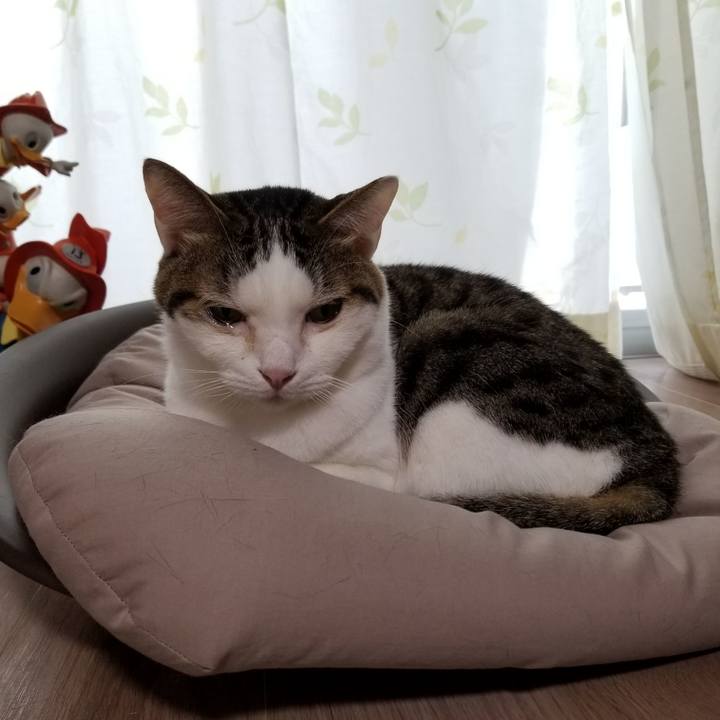 32b7972a 1e41 427a be01 445bcf3b88cf 1619559854741