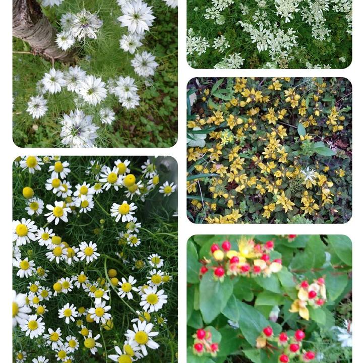 32b7a0e2 55e6 46c2 a179 b9a7640b347e 1527174841948