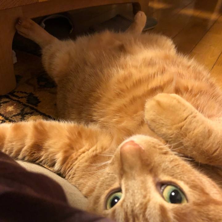 32b7eebb 831e 4ac3 a12f 4b80881c106e 1577406292461