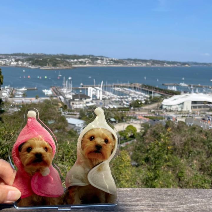 32b7f6ec 8611 477d 9771 d8c94081996e 1776422238596