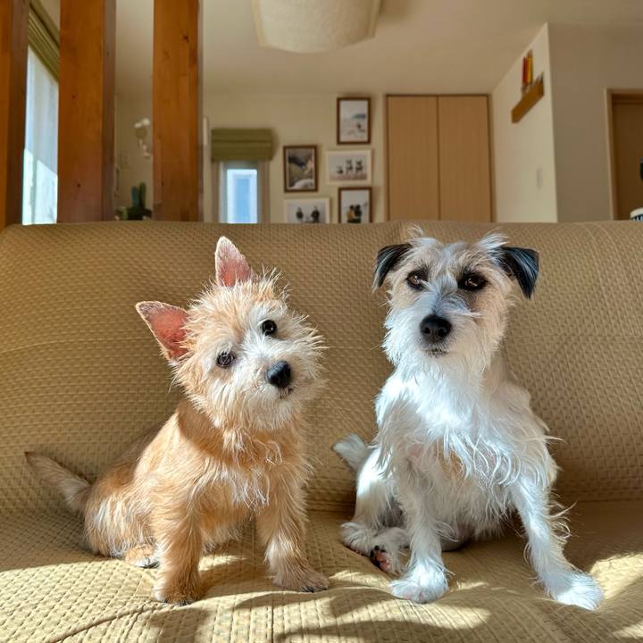 32b7fa33 d1a8 45ab 9d9f 9a2c3d918d13 1706711053059