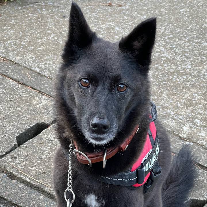 32b80e90 5498 4644 959c 52e8ba4b9149 1696640368725