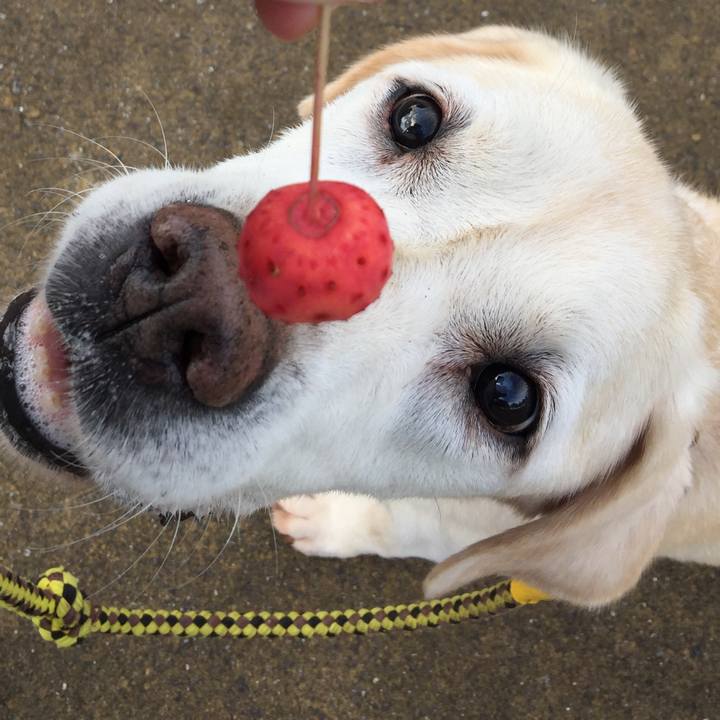 32b8224b e591 4a89 97c6 4c86c4d6b729 1537232987107