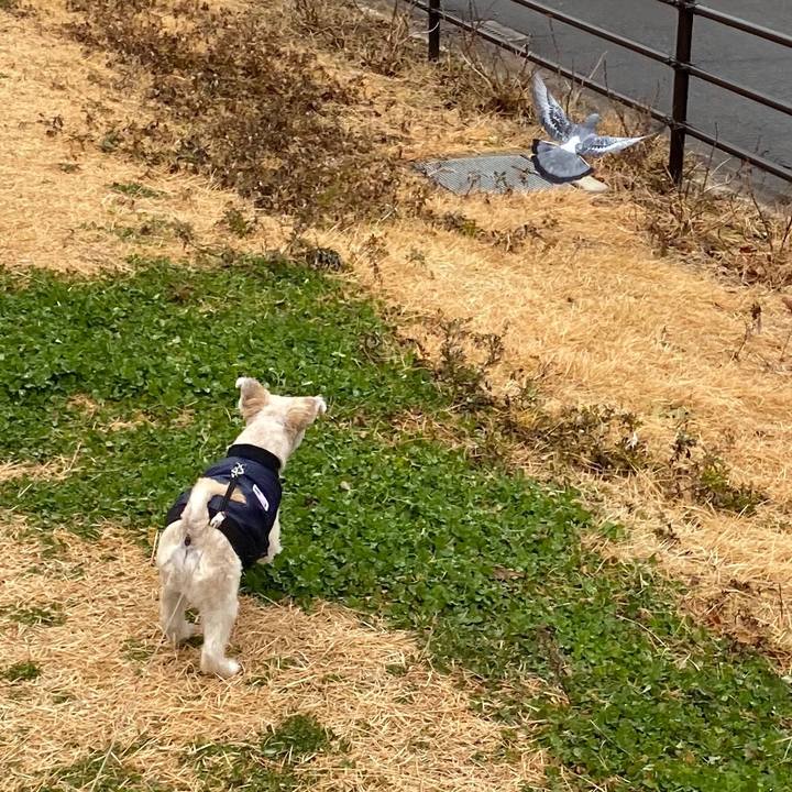 32b849ac 66db 4980 89da 4c876bc59293 1578463524550