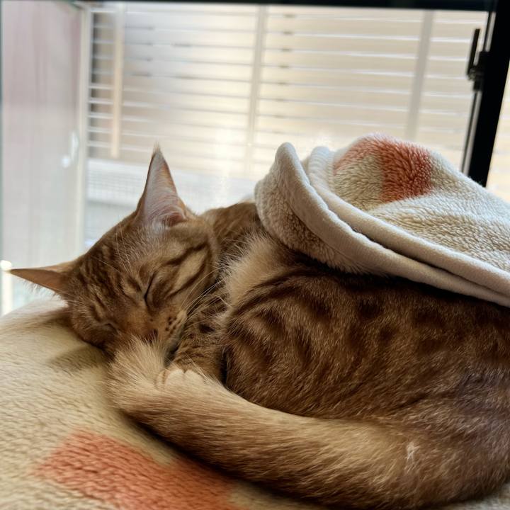 32b863f6 2cd0 4384 9dfa dfe3f795c9c2 1681007532182