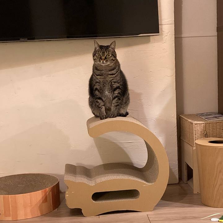 32b88a90 402f 409a 96f7 d80e61f589be 1644754164568