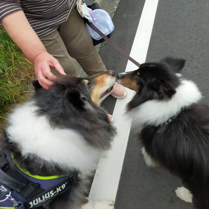 32b8b8af a837 4065 ac0f 5d433dffffc7 1621428213841