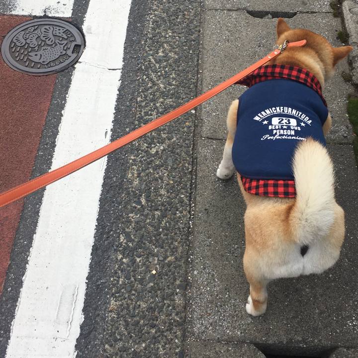 32b8f44a 70dc 48bb 80b5 70ea1567d241 1570408937883