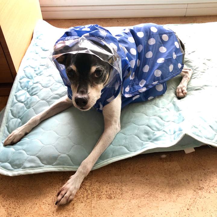 32b937cd 296b 41ef 8ab1 b01a609a3c62 1567231810891