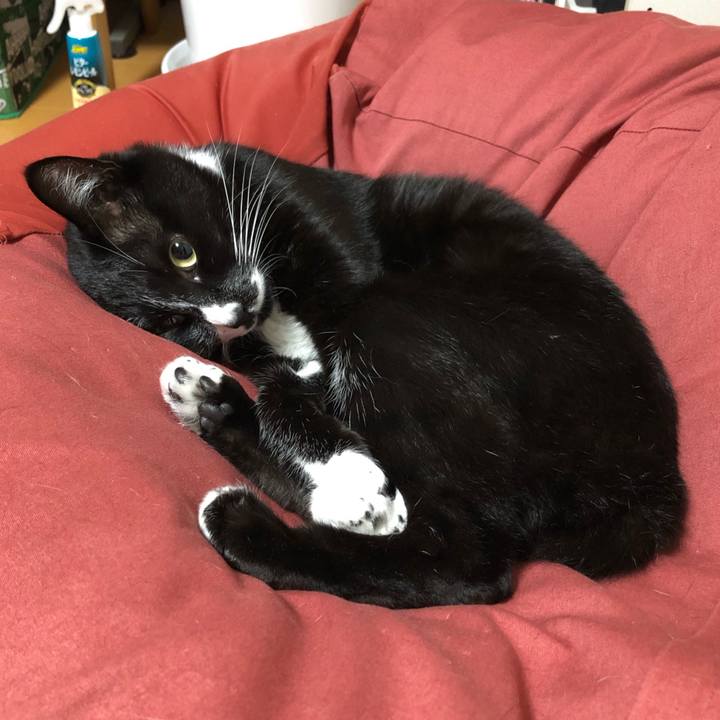 32b95621 5c7a 4d28 bafa 1209334af467 1637294185084