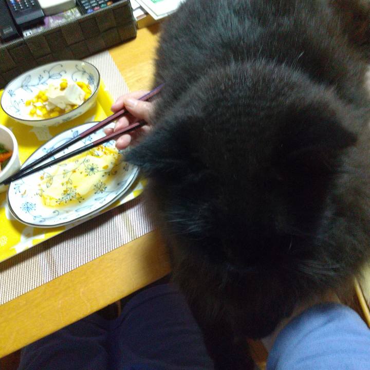 32b99ea4 485c 47db b1eb 815e697cacdd 1688379843726