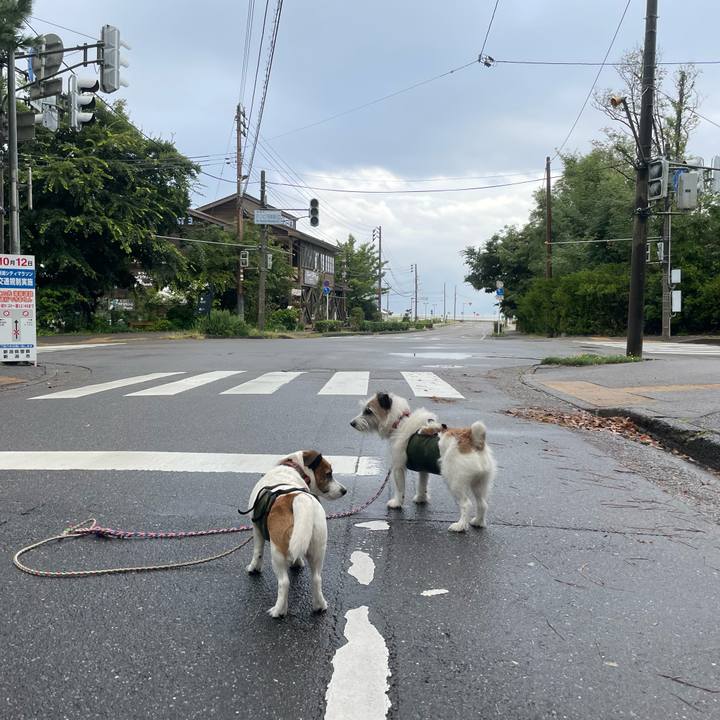 32b9b8dc c79c 44e7 9ff1 88f5b744134c 1759618881361