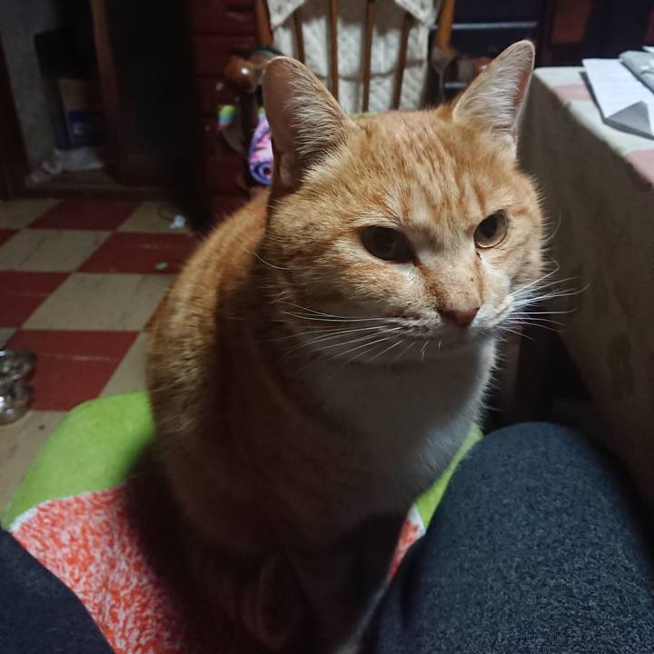 32b9d394 7ca2 46d4 ba65 26186c42324c 1579639454833