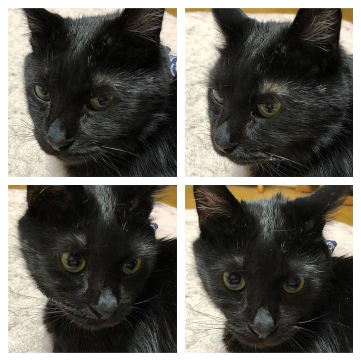 32b9fca7 4fb5 45c6 9945 efbed289832b 1559297645370