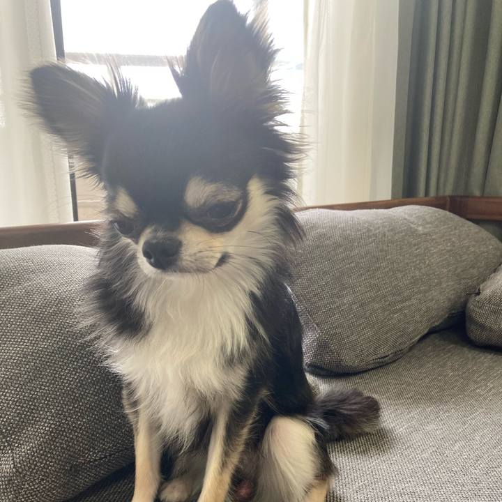 32b9fd15 32eb 4fc8 93d0 9aae96b400dc 1624163794766